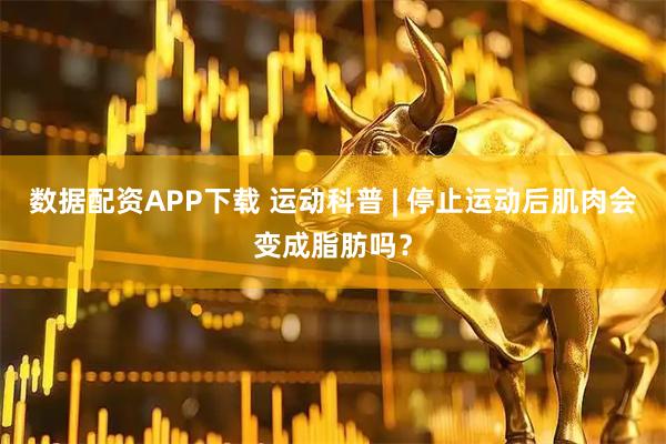 数据配资APP下载 运动科普 | 停止运动后肌肉会变成脂肪吗？