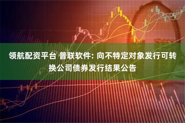 领航配资平台 普联软件: 向不特定对象发行可转换公司债券发行结果公告