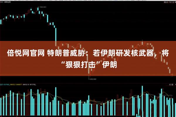 倍悦网官网 特朗普威胁：若伊朗研发核武器，将“狠狠打击”伊朗