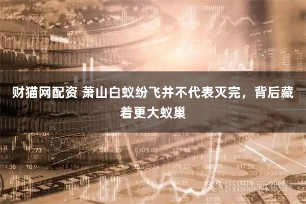 财猫网配资 萧山白蚁纷飞并不代表灭完，背后藏着更大蚁巢