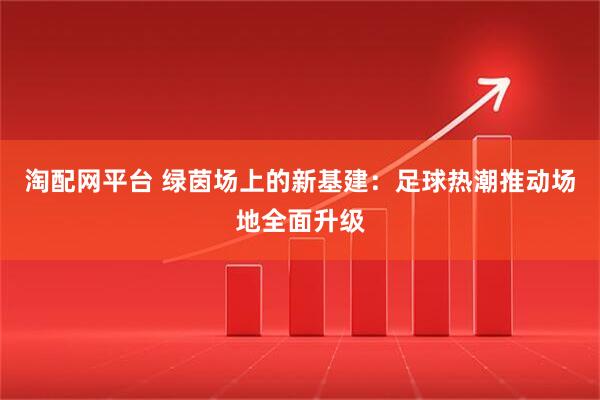 淘配网平台 绿茵场上的新基建：足球热潮推动场地全面升级